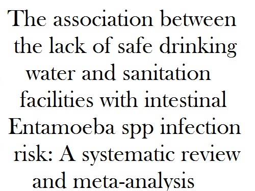 The association between the lack of safe drinking water and sanitation facilities with intestinal Entamoeba spp infection risk: A systematic review and meta-analysis.